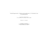 Apunte DocTrabajo Hidrotermalismo y Yacimientos Minerales 2006