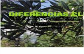 Diferencias climáticas entre las regiones tradicionalmente productoras de olivo (olea europaea l.) En el mundo y el alto Ricaurte en Colombia