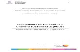 Términos de Referencia de Programas de Desarrollo Urbano Sustentable. Secretaría de Desarrollo Sustentable Morelos