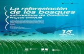 La reforestación de los bosques submarinos de Canarias. Proyecto CYMOLAB