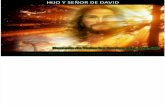 Lección 20 - Hijo y Señor de David