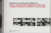 Las Estrategias de La Reproduccion Social Pierre Bourdieu