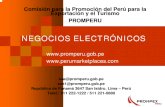 NEGOCIOS ELECTRÓNICOS - PROMPERU.pdf