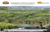 Recursos naturales renovables - Asamblea Constituyente.pdf