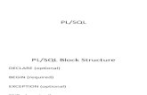 PLSQL Presentation
