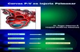 Curvas P-V en Injuria Pulmonar