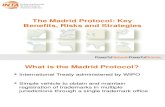 Madrid Protocol Presentation