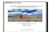 Informe Arqueologico Chungar Islay - Tramo i
