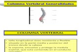 Biomecanica Columna.
