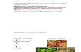 Bromatología - La ciencia de los alimentos
