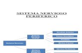 5-1 SISTEMA-NERVIOSO-PERIFERICO RESUMEN.ppt