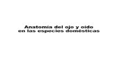 Anatomía Veterinaria Ojo y Oído
