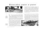 Agricultura Ecologica - Bancales Paso a Paso (Mariano Bueno)