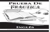 PPAA Practica Ing7 2011