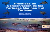 Practicas de Conservación de las tortugas marinas  y el turismo