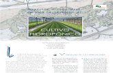 Cultivo Hidrop Nico