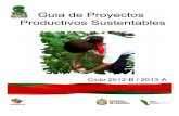 Guia_pproyectos Productivos Sustentables