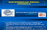 Enfermedad Renal Cronica Expo
