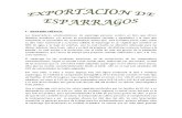 Exportacion de Esparragos (Final)