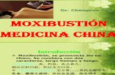 Dr. Chengzun Pan Moxibustion