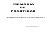 Memoria practicas 2012