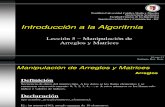 Introd. a la Algoritmia - Tema 5