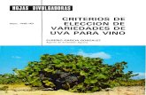 Criterios de Elección de Variedades de Uva para Vino