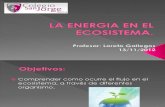 La Energia en El Ecosistema