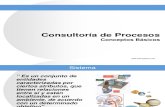 Consultoria de Procesos - Conceptos