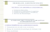 Modelos Asistenciales Multidisciplinarios en Hemofilia.( INFOHEMO 2012) 24.10.12 Dr. Aznar