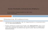 Sistema Endocrino 2012