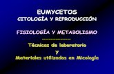 Micología gral. S.L. PowerPoint