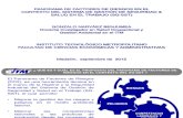 Diapositivas Panorama de Factores de Riesgos (GoNaBe) 2012