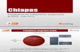Estadísticas IMSS Julio 2012