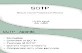 Nimish SCTP Presentation