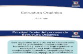 Presentacion Analisis Estructura Organica