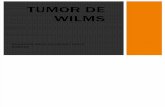 Presentacion de Tumor de Wilms FINAL