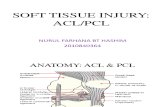 Acl Pcl Presentation