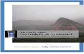Informe Alto Parapetí - Bolivia