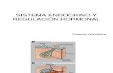Sistema Endocrino y Regulacion Hormonal