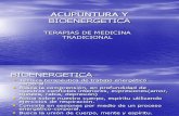 acupuntura y bioenergetica