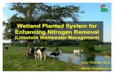 Wetland Nitrogen Removal Presentation)