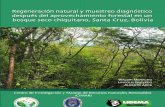 Regeneración natural y muestreo diagnóstico - Menacho, Quevedo, Arce. 2011.