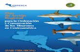 Plan de Acción Regional para la Ordenación y Conservación de los Tiburones en Centroamérica (PAR-TIBURON).