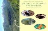 Guías de Ñuble naturaleza. Fauna y flora Las Trancas. Pinto - Ñuble. (Especies más características). (2009)