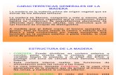 Caractersticas Generales de La Madera