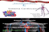 Presentación exposición del sistema cardiovascular