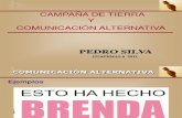 Campaña de Tierra y Comunicación Alternativa - Pedro Silva
