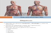 Anatomia y Fisiología - Cap 1