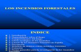 15B_ INCENDIOS FORESTALES